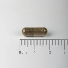 Lamberts Metabolic Weight Support με Metabolaid, 60caps