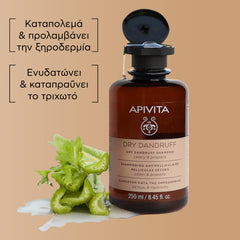 APIVITA DRY DANDRUFF SHAMPOO 250ML SHAMPO APIVITA