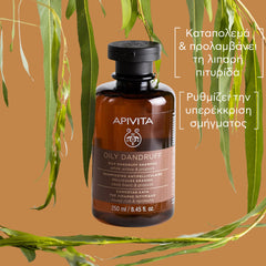 Apivita Oily Dandruff Shampoo Σαμπουάν κατά της Λιπαρής Πιτυρίδας με Λευκή Ιτιά & Πρόπολη 250ml.