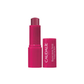 Caudalie Tinted Lip Balm, Ενυδατικό Στικ για τα Χείλη με Χρώμα & Άρωμα Σμέουρου 4.5gr