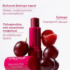 Caudalie Tinted Lip Balm, Ενυδατικό Στικ για τα Χείλη με Χρώμα & Άρωμα Σμέουρου 4.5gr