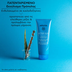 Apivita Bee Sun Safe Travel Size After Sun Δροσιστική & Καταπραϋντική Κρέμα-Gel για Πρόσπο & Σώμα 100ml.