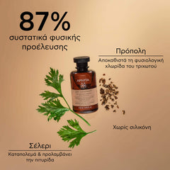 APIVITA DRY DANDRUFF SHAMPOO 250ML SHAMPO APIVITA