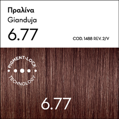 KORRES ARGAN OIL Advanced Colorant 6.77 Πραλίνα