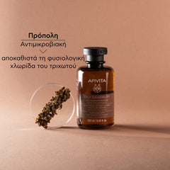 Apivita Oily Dandruff Shampoo Σαμπουάν κατά της Λιπαρής Πιτυρίδας με Λευκή Ιτιά & Πρόπολη 250ml.