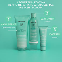 APIVITA JUST BEE CLEAR ΛΟΣΙΟΝ ΣΥΣΦΙΞΗΣ ΠΟΡΩΝ ΕΞΥΓΙΑΙΝΕΙ ΤΟ ΔΕΡΜΑ με propolis AmC & φυτικό σαλικυλικό οξύ
