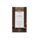 KORRES ARGAN OIL Advanced Colorant 7.73 Χρυσή Μόκα