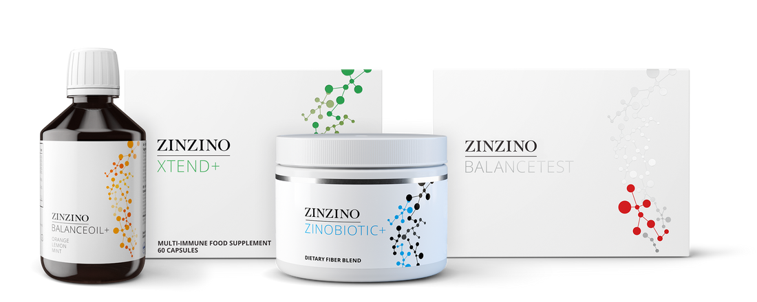 ZINZINO