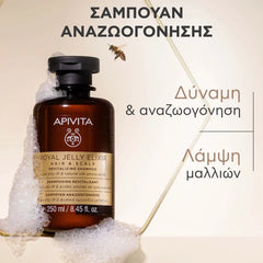 Apivita Royal Jelly Elixir Σαμπουάν Αναζωογόνησης, 250ml