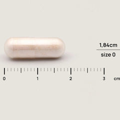 Olonea BacteFlora Travel, 14caps