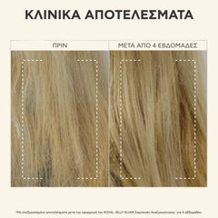 Apivita Royal Jelly Elixir Σαμπουάν Αναζωογόνησης, 250ml