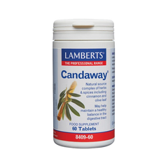 Lamberts Candaway Oregano 60 ταμπλέτες