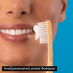 APIVITA ΟΔΟΝΤΟΚΡΕΜΑ TOTAL με δύοσμo & πρόπολη